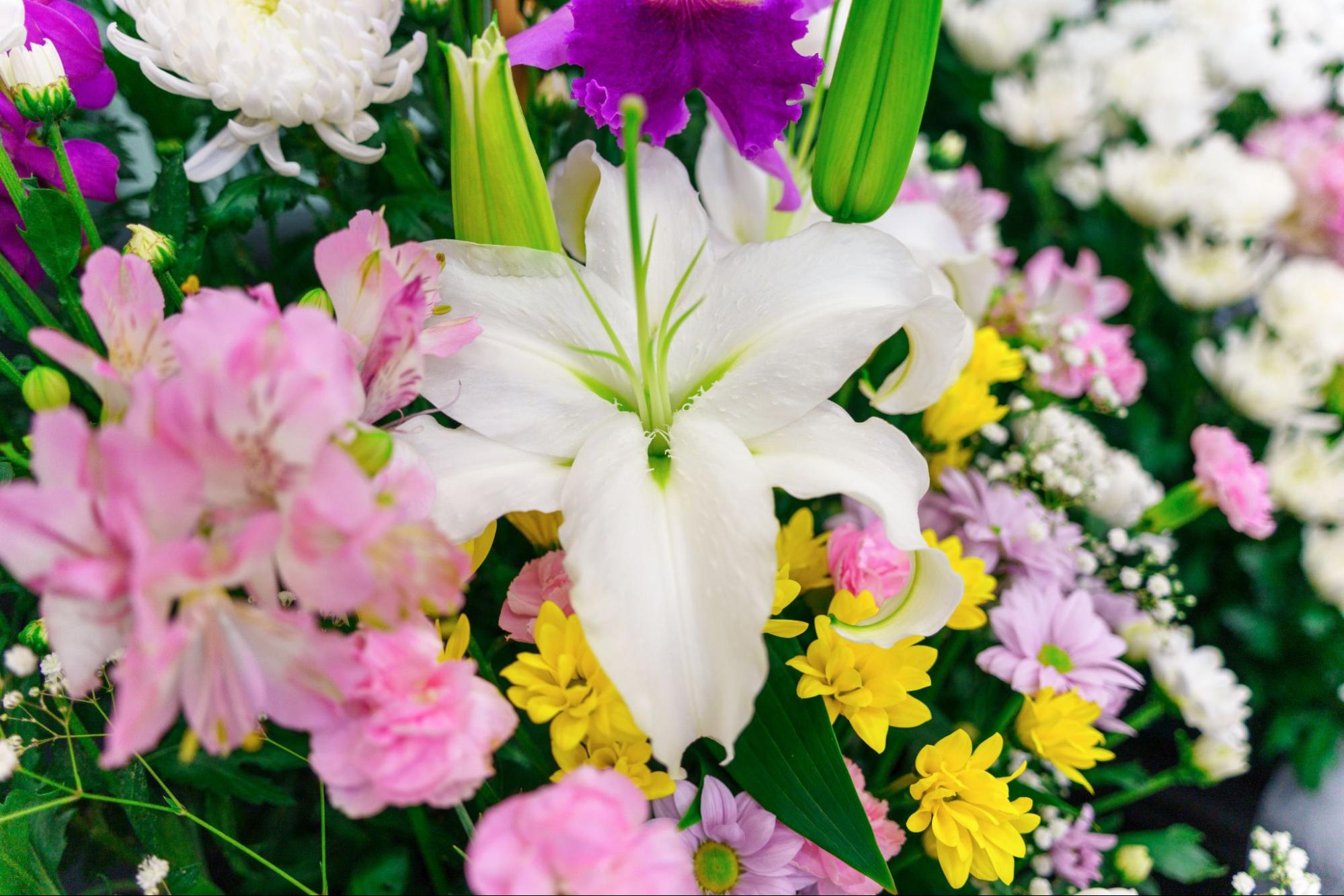 宗教による供花の種類